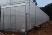 Polytunnels