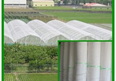 කෘමි ප්‍රතිරෝධි දැල් (Insect Proof Net) 50m රෝලම රු.27000
