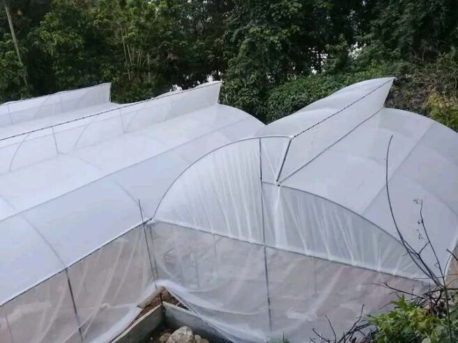 Polytunnels