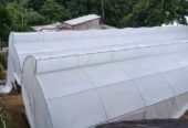 Polytunnels