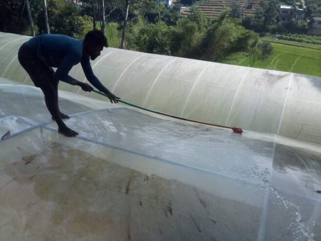 Green house roof clean