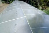 Green house roof clean