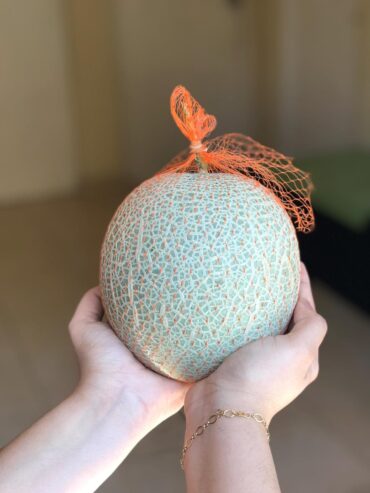 Cantaloupe (Premium Quality)